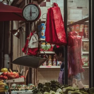 Everyday Grocery Essentials